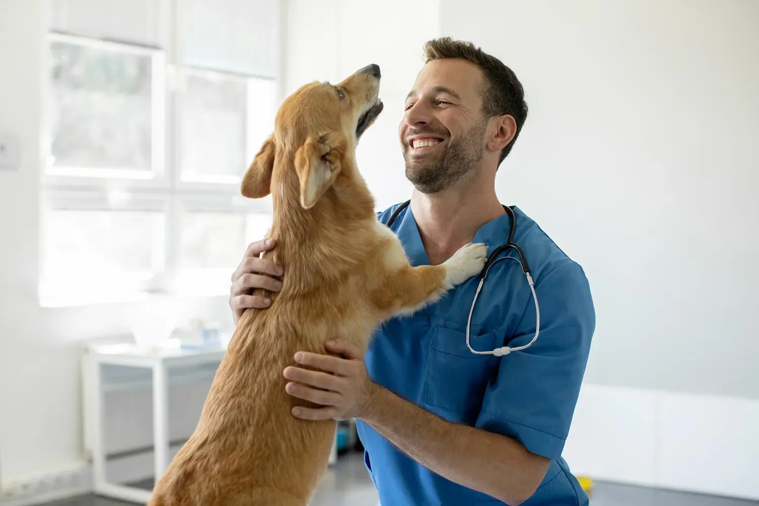 Perro saludando a un médico veterinario